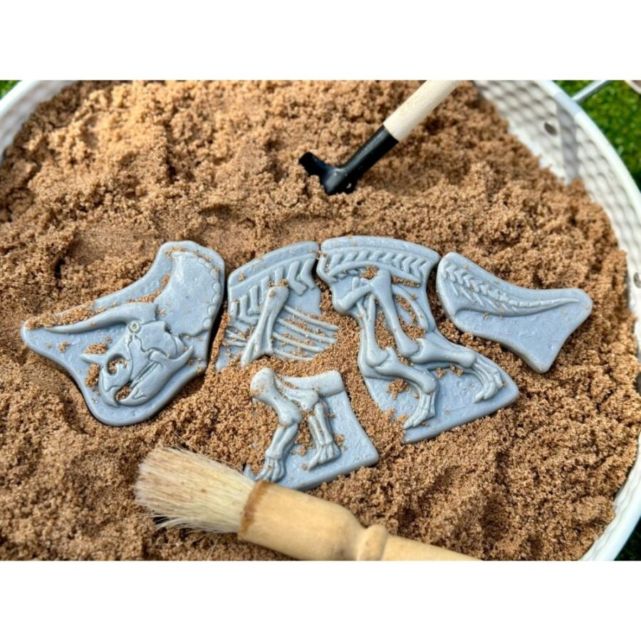 Dig And Discover – Triceratops & Spinosaurus (3)