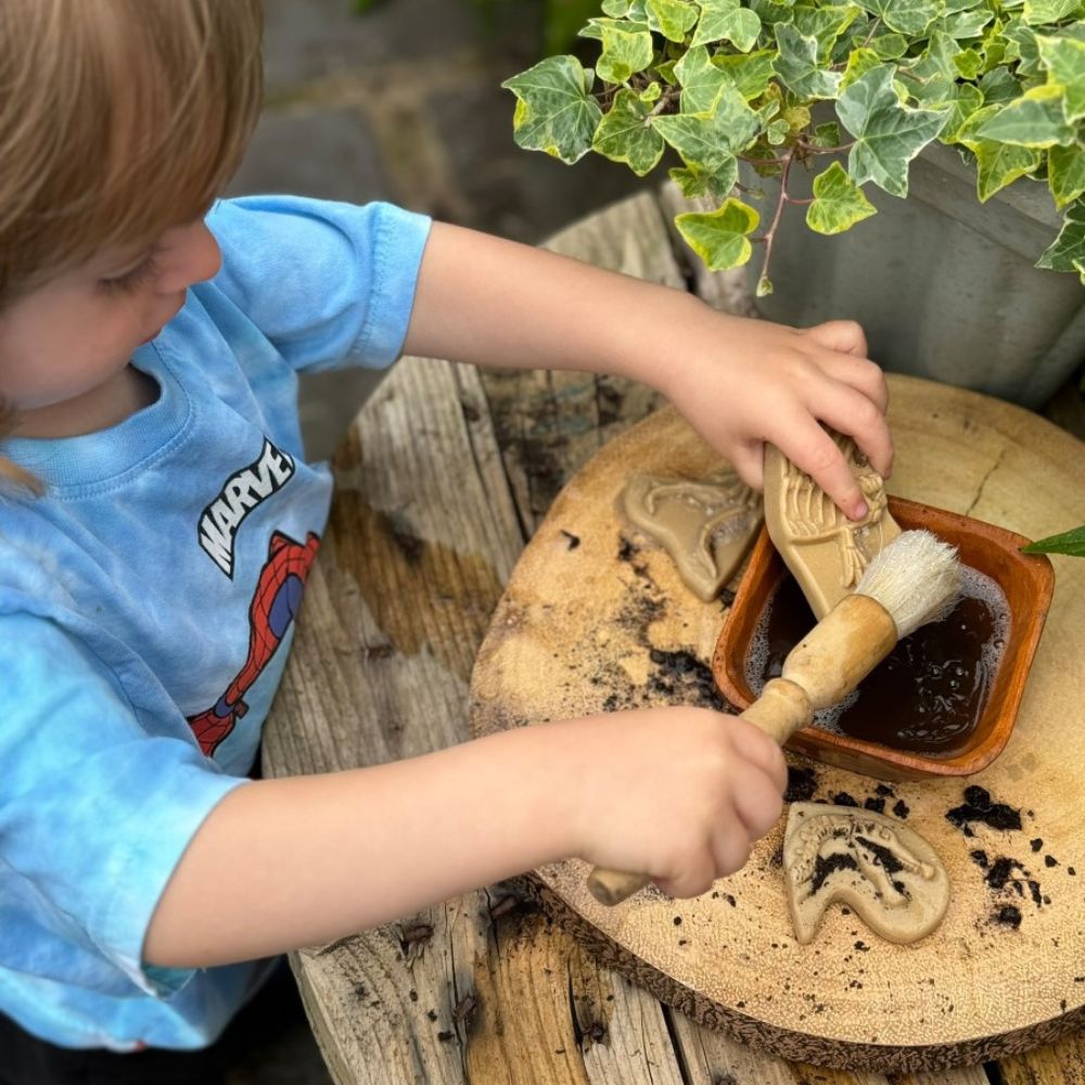 Dig And Discover – Triceratops & Spinosaurus (5)