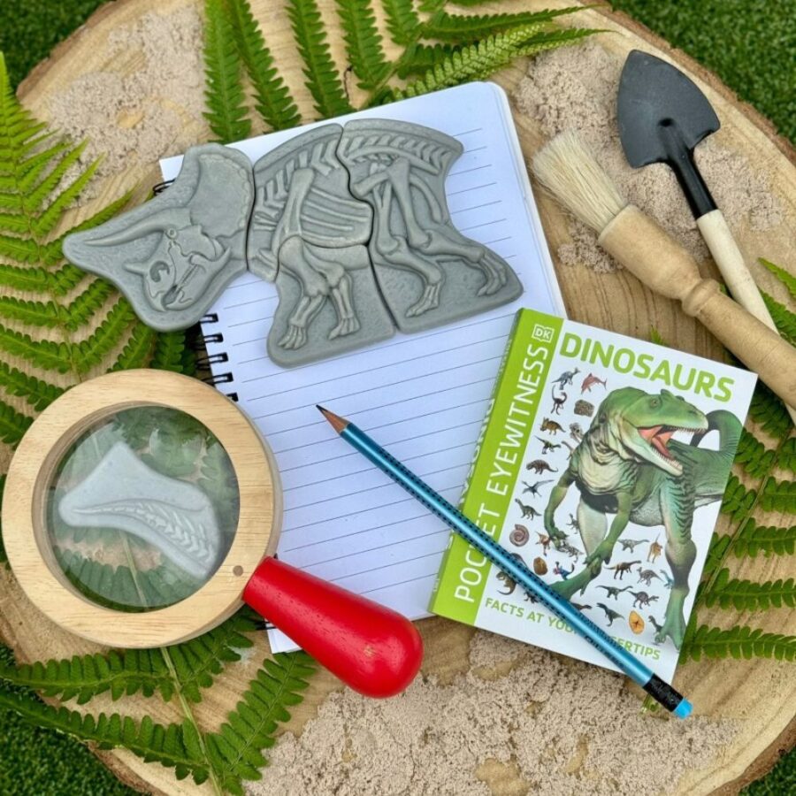 Dig And Discover – Triceratops & Spinosaurus (6)