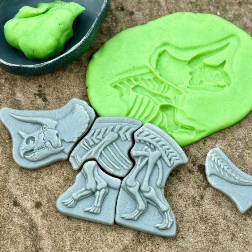 Dig And Discover – Triceratops & Spinosaurus (9)