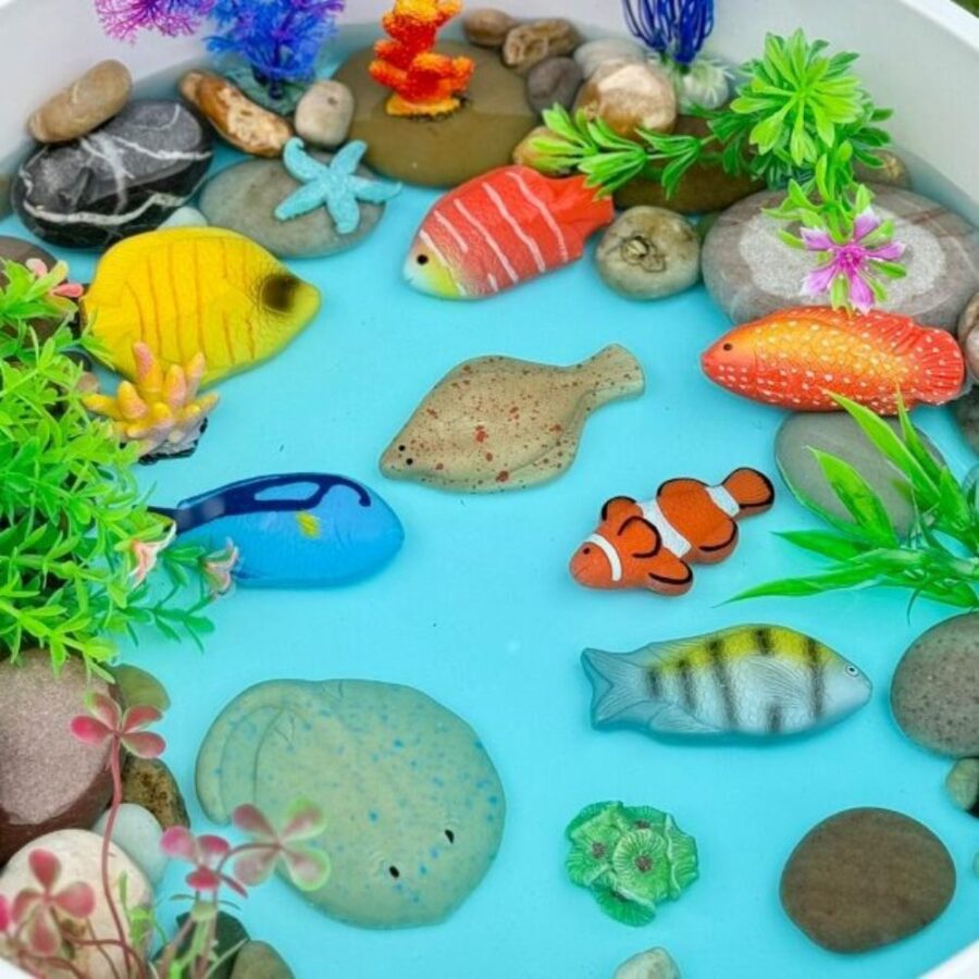 Fish – Sensory Play Stones (1)