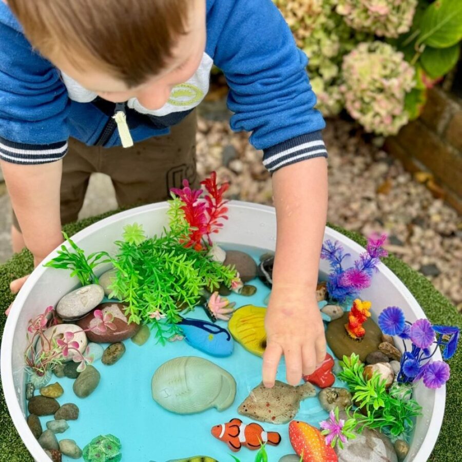Fish – Sensory Play Stones (7)