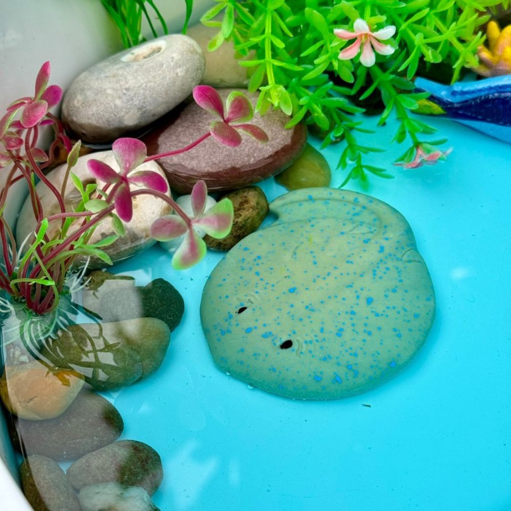Fish – Sensory Play Stones (8)