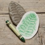 Let's Investigate Fossils (2)