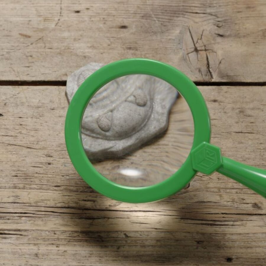Let's Investigate Fossils (4)