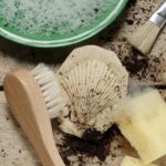 Let's Investigate Fossils (5)