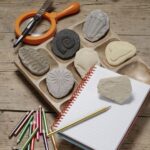 Let's Investigate Fossils (7)