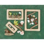 Natural Focus Frames (4)
