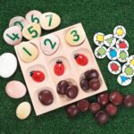 Natural Sorting Tray (1)