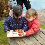 Natural Sorting Tray (2)