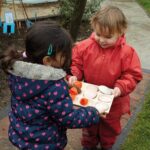 Natural Sorting Tray (3)