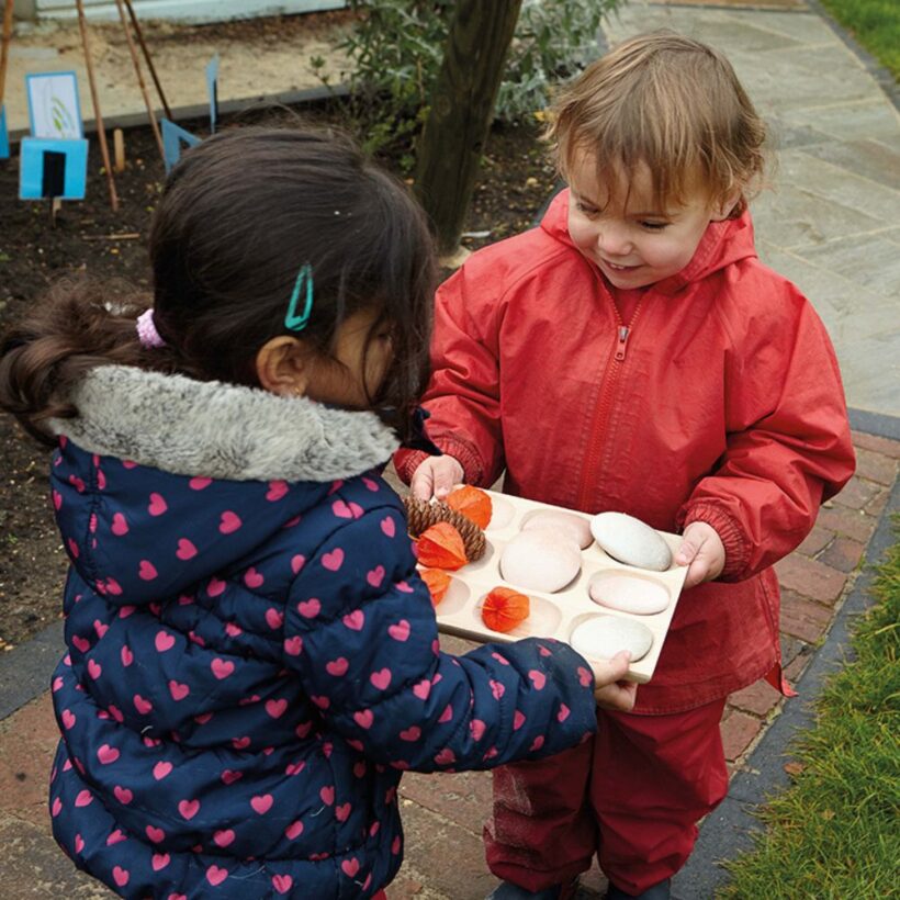 Natural Sorting Tray (3)