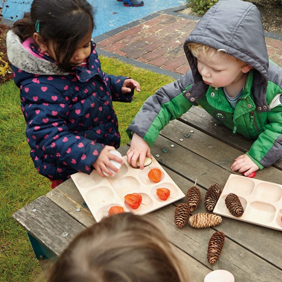 Natural Sorting Tray (4)
