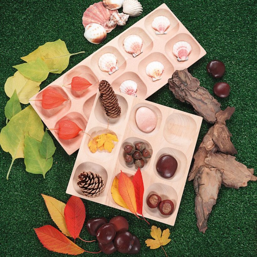 Natural Sorting Tray (5)