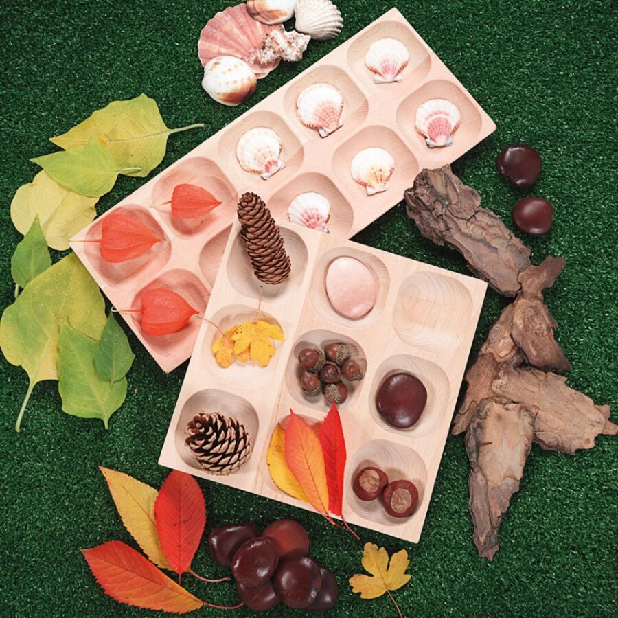 Natural Sorting Tray (5)