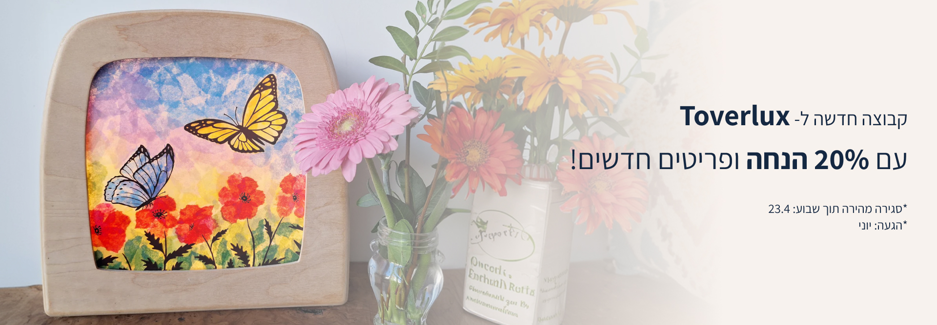 Hero Banner Desktop Toverlux