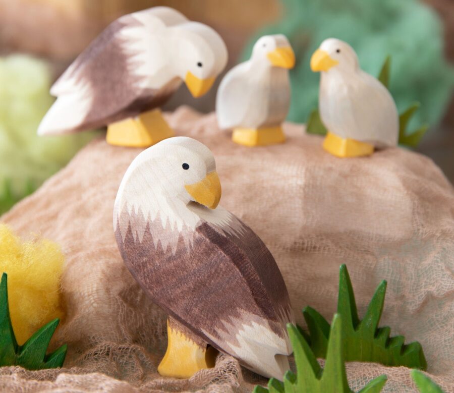 Seeadler Szene 2 1920x1920