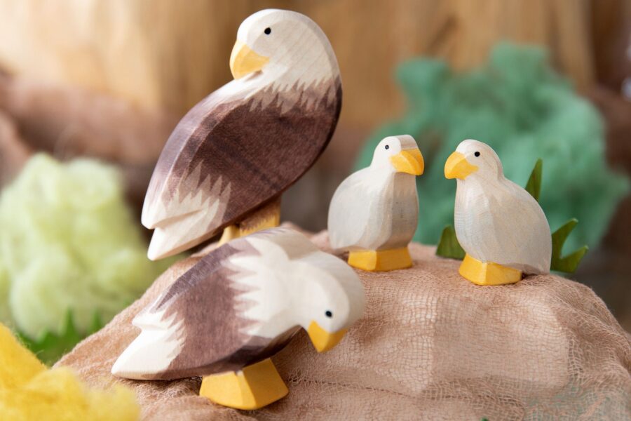 Seeadler Szene 1920x1920