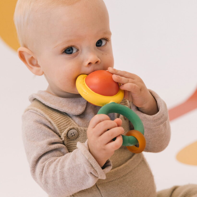 Back To The Roots Rattle (2)