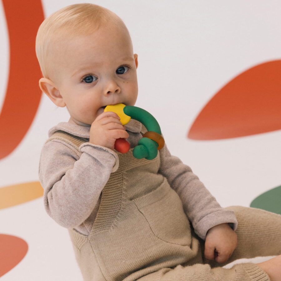 Back To The Roots Teether (1)