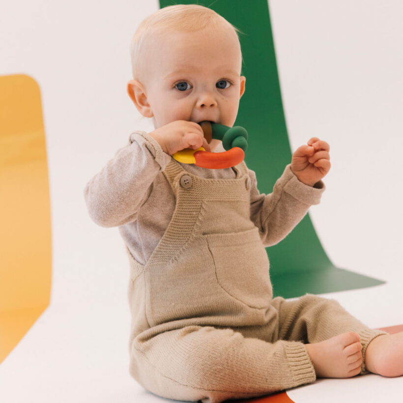 Back To The Roots Teether (3)