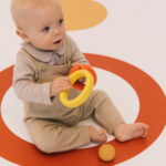 Back To The Roots Toy (3)