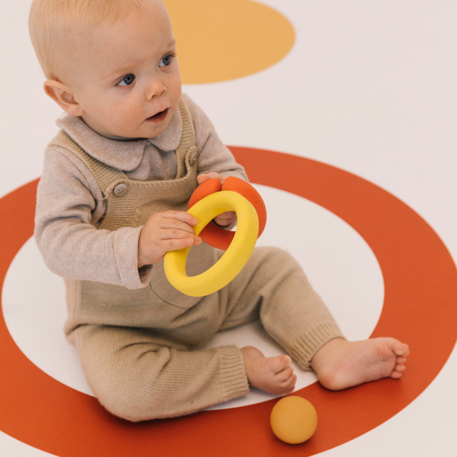 Back To The Roots Toy (3)