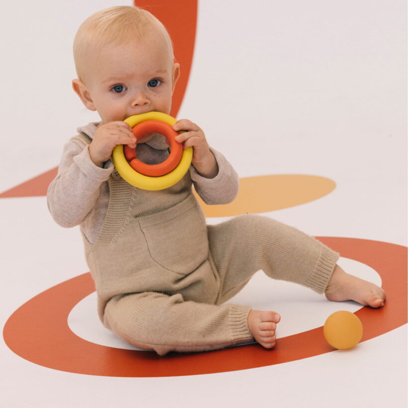 Back To The Roots Toy (5)