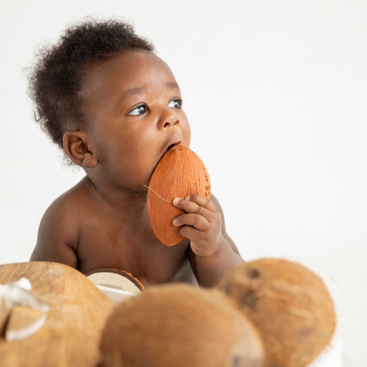 Coco The Coconut (4)