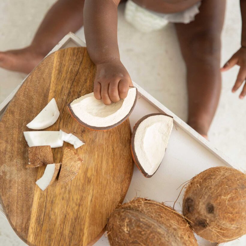 Coco The Coconut (5)