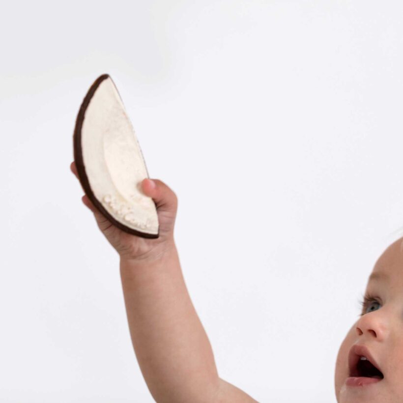 Coco The Coconut