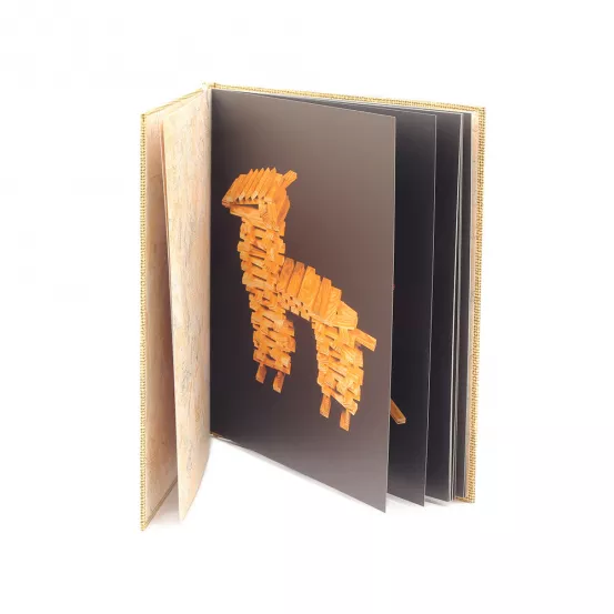Art Books (1)