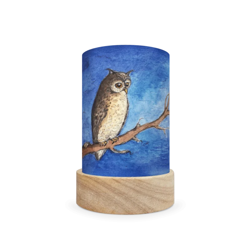 Ts15 5 Evm Owl 1800x1800.png