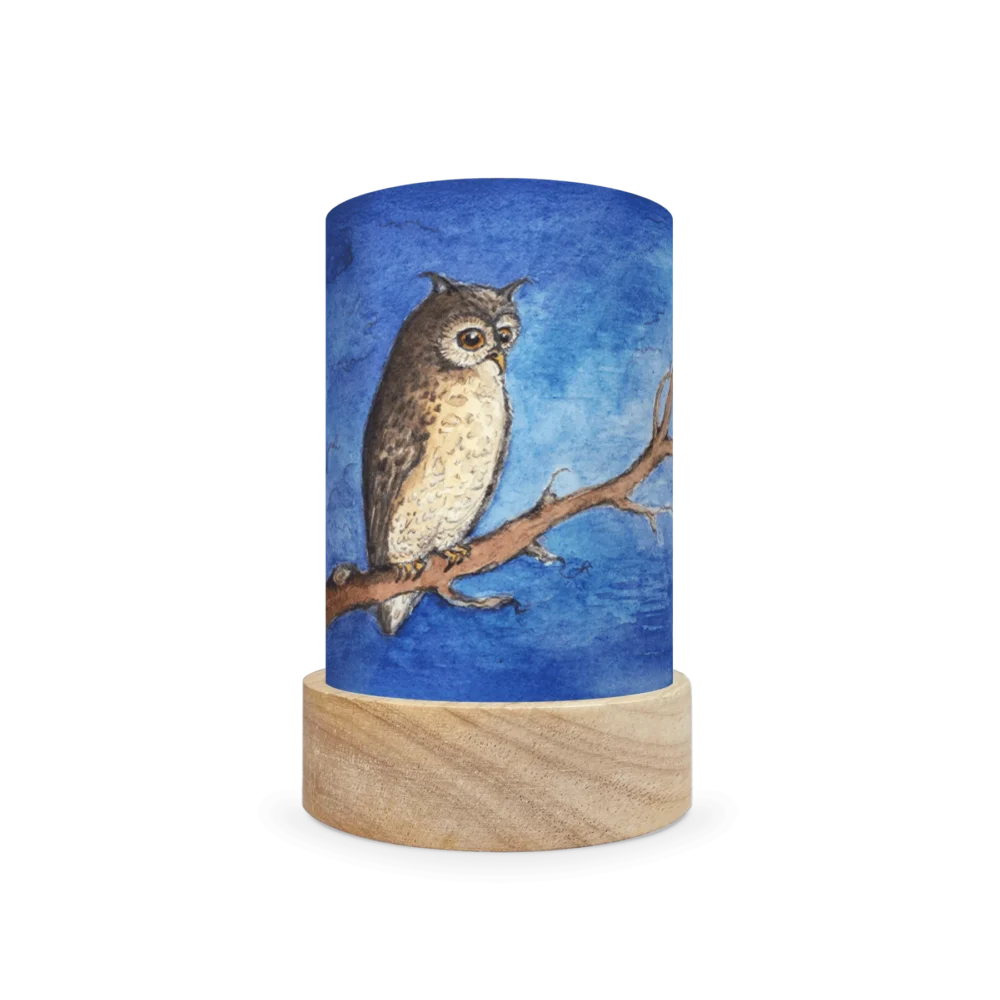 Ts15 5 Evm Owl 1800x1800.png