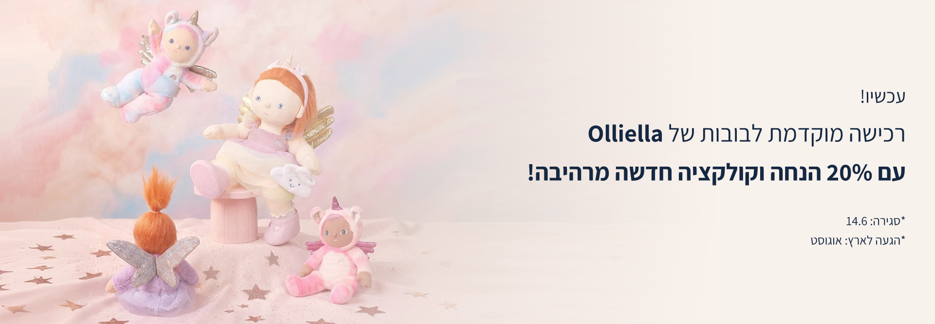 Hero Banner Desktop Olliella