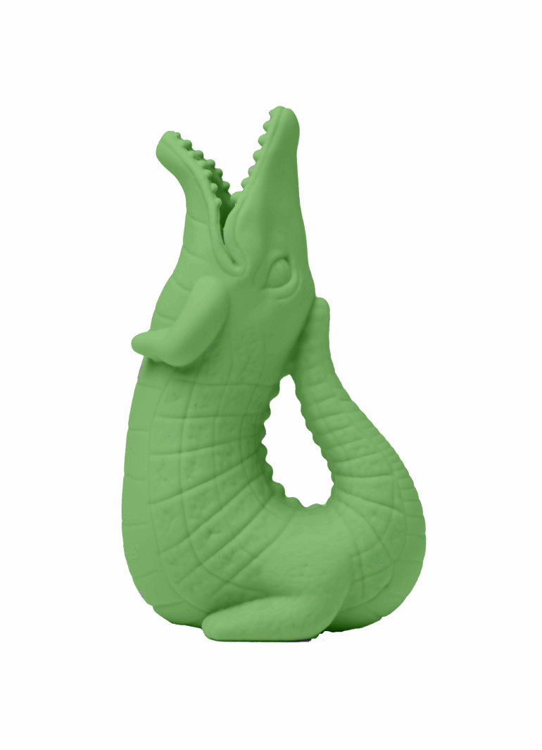 Leprechaun Croc Copy 2