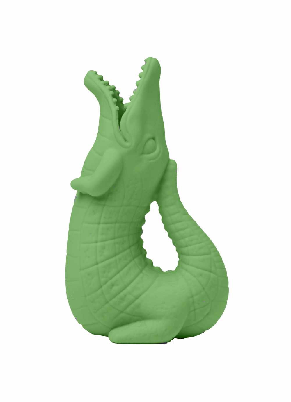 Leprechaun Croc Copy 2