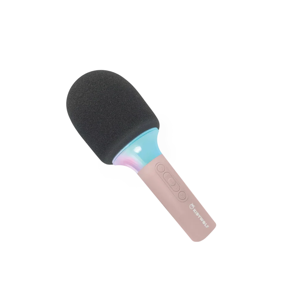 Kidymic Pi 01a 1800.png