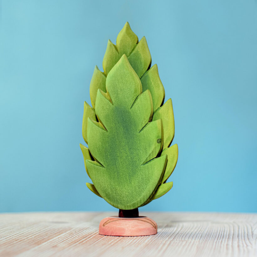 Large Thuja~2420