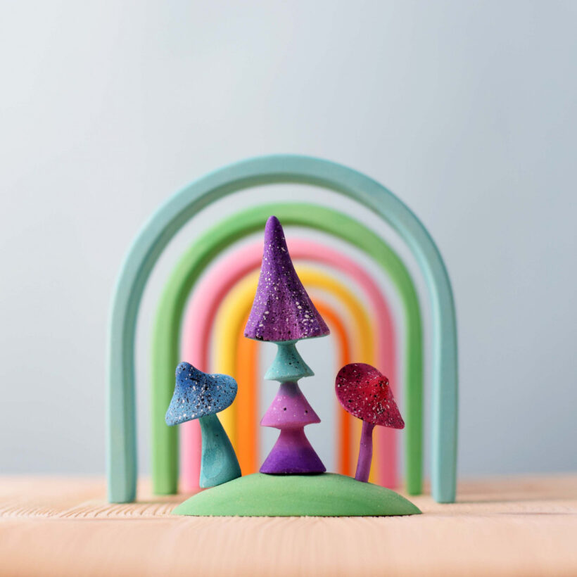 Magic Mushrooms Set~3504