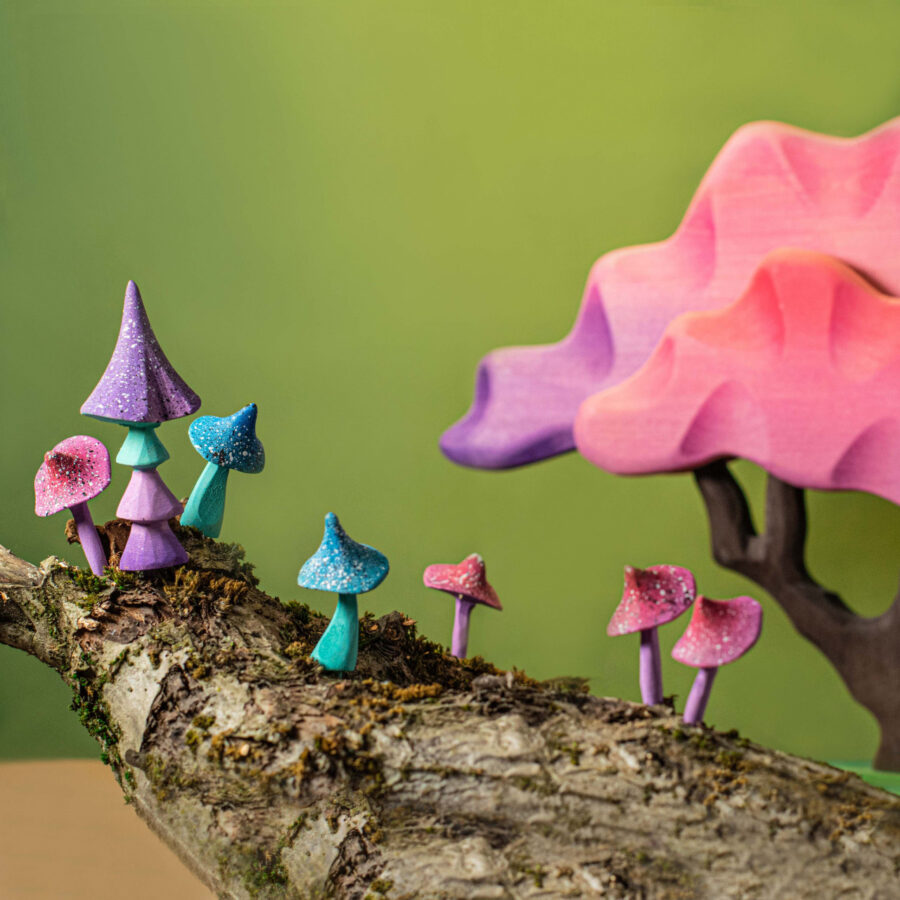 Magic Mushrooms Set~3507 Magic Mushrooms Set~3507