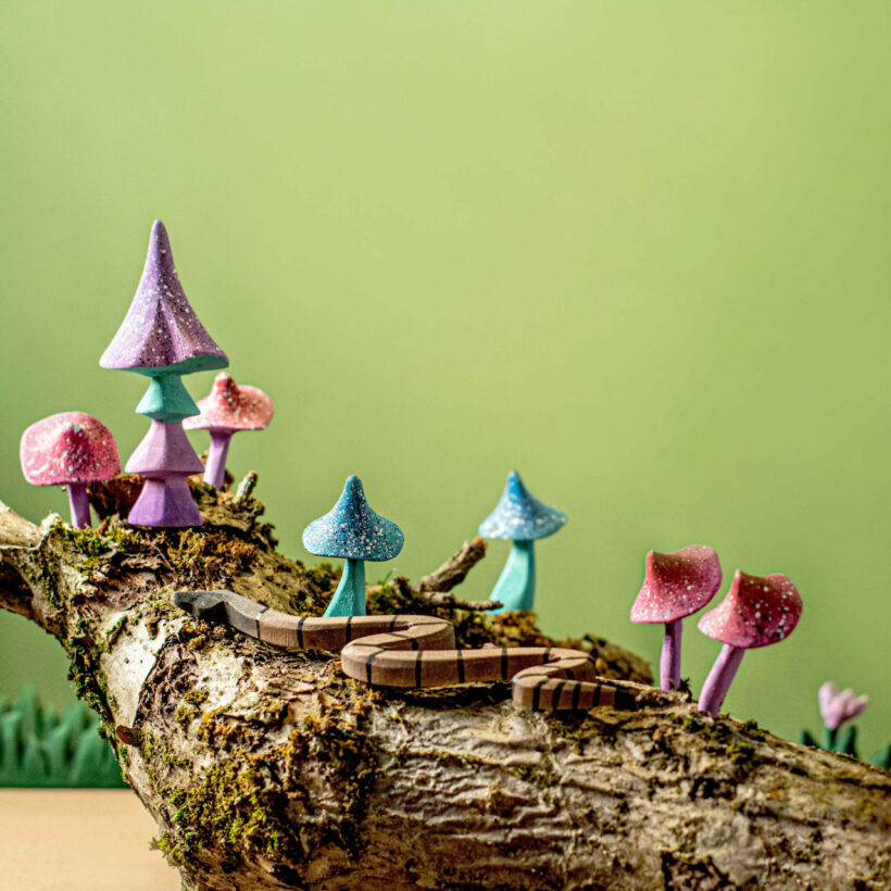 Magic Mushrooms Set~3513