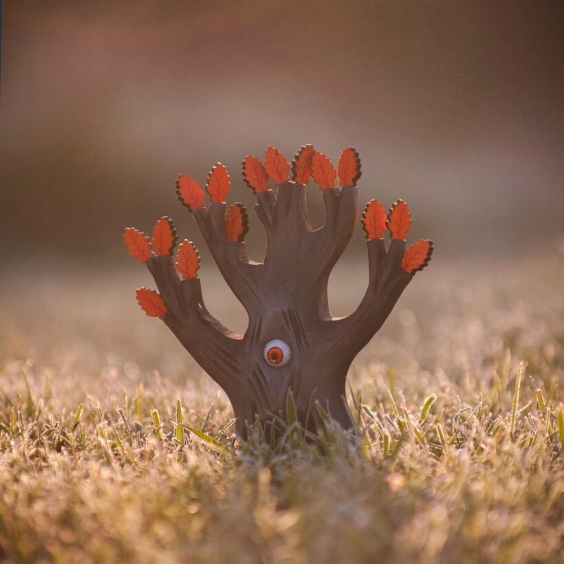 The Watching Oak Orange~2394900