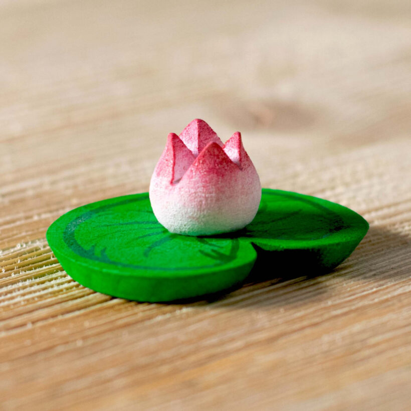 Water Lily~2248