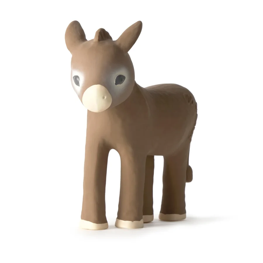 Hectorthedonkey1.jpg