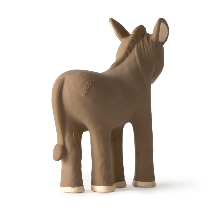 Hectorthedonkey2.jpg