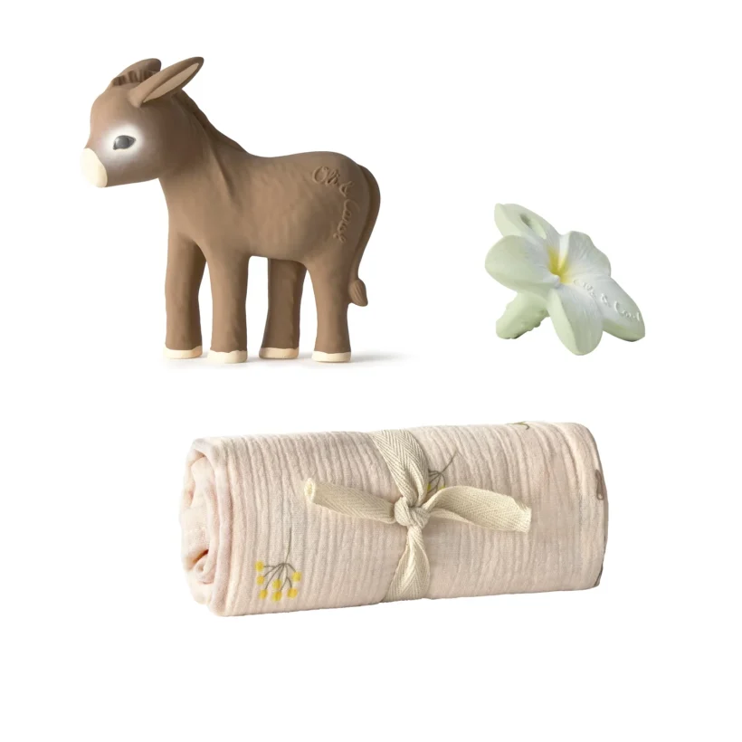 Newbornpackvillamagnan2.jpg