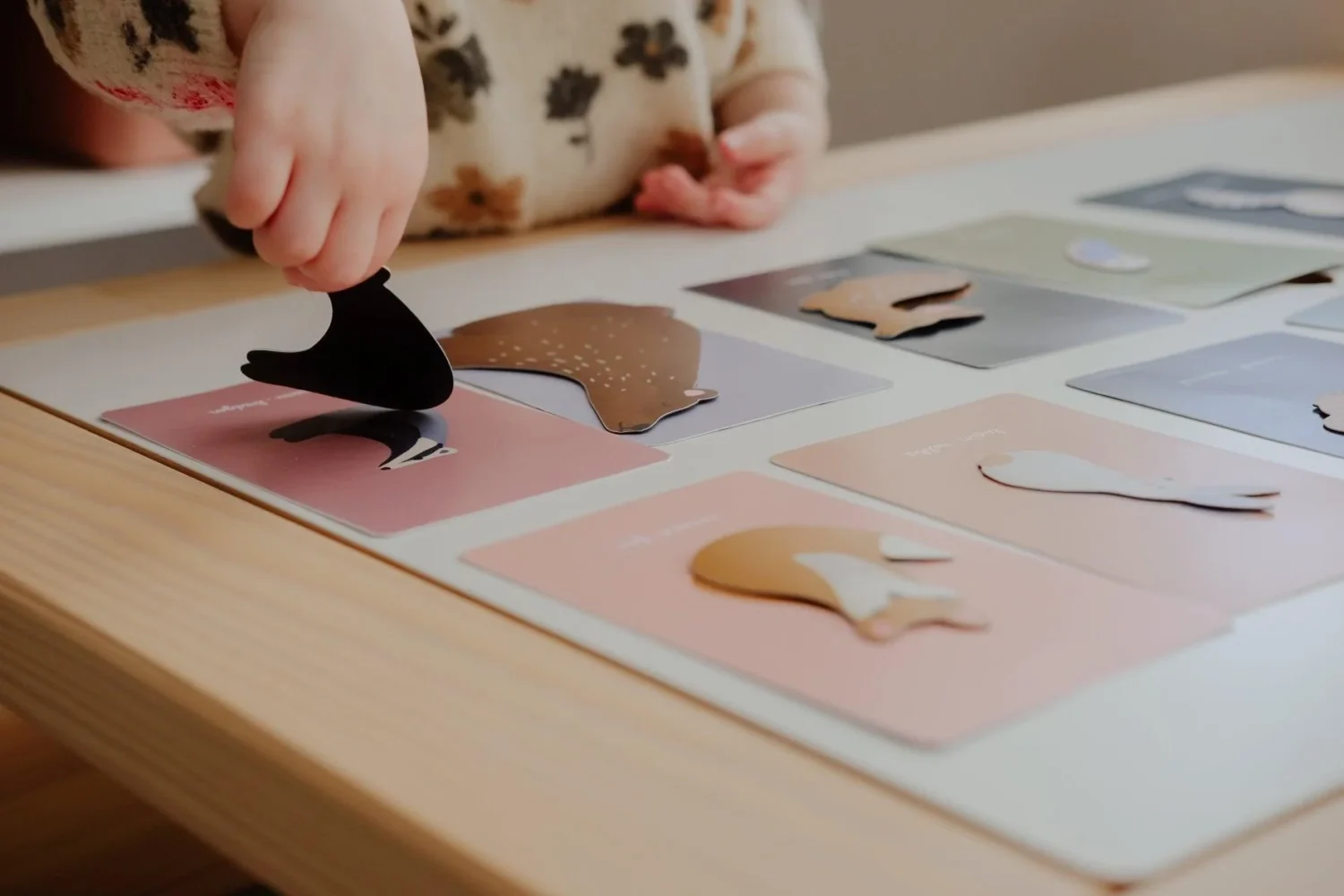 Animaux Foret Magnets Imagier.jpg