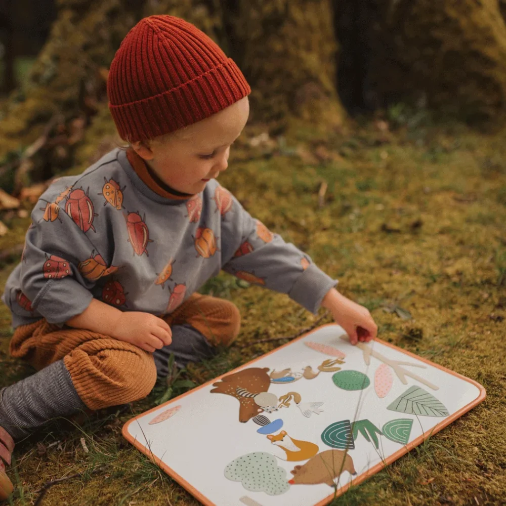Jeu Magnetique Animaux Foret Bois Playtime.png