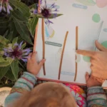 Jeu Magnetique Cycle Vie Papillon Enfant.jpg